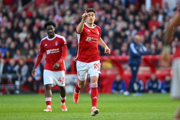 些领域展现 些领域展现