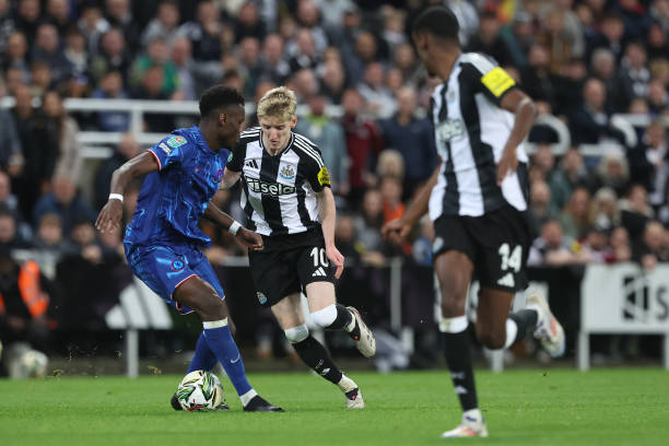 业生涯树立 业生涯树立